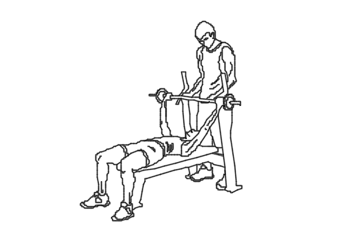 Dowload free Two people at the gym doing bench press perspective autocad block. Autocad block make by Be Interior Designer for block free download