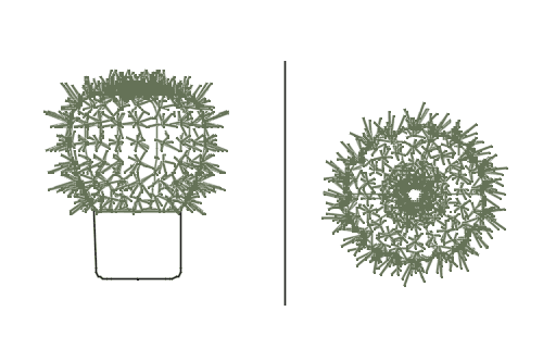 Dowload free Potted cactus with many spikes elevation and plan autocad block. Autocad block make by Be Interior Designer for block free download