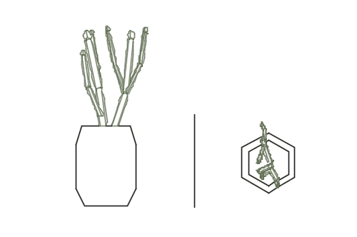 Dowload free Potted cactus elevation and plan autocad block. Autocad block make by Be Interior Designer for block free download