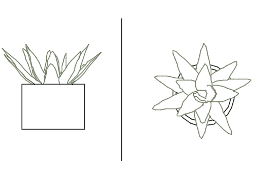 Dowload free Potted short cactus elevation and plan autocad block. Autocad block make by Be Interior Designer for block free download