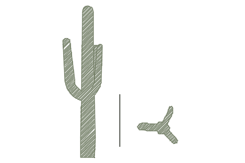 Dowload free Tall cactus plan and elevation autocad block. Autocad block make by Be Interior Designer for block free download